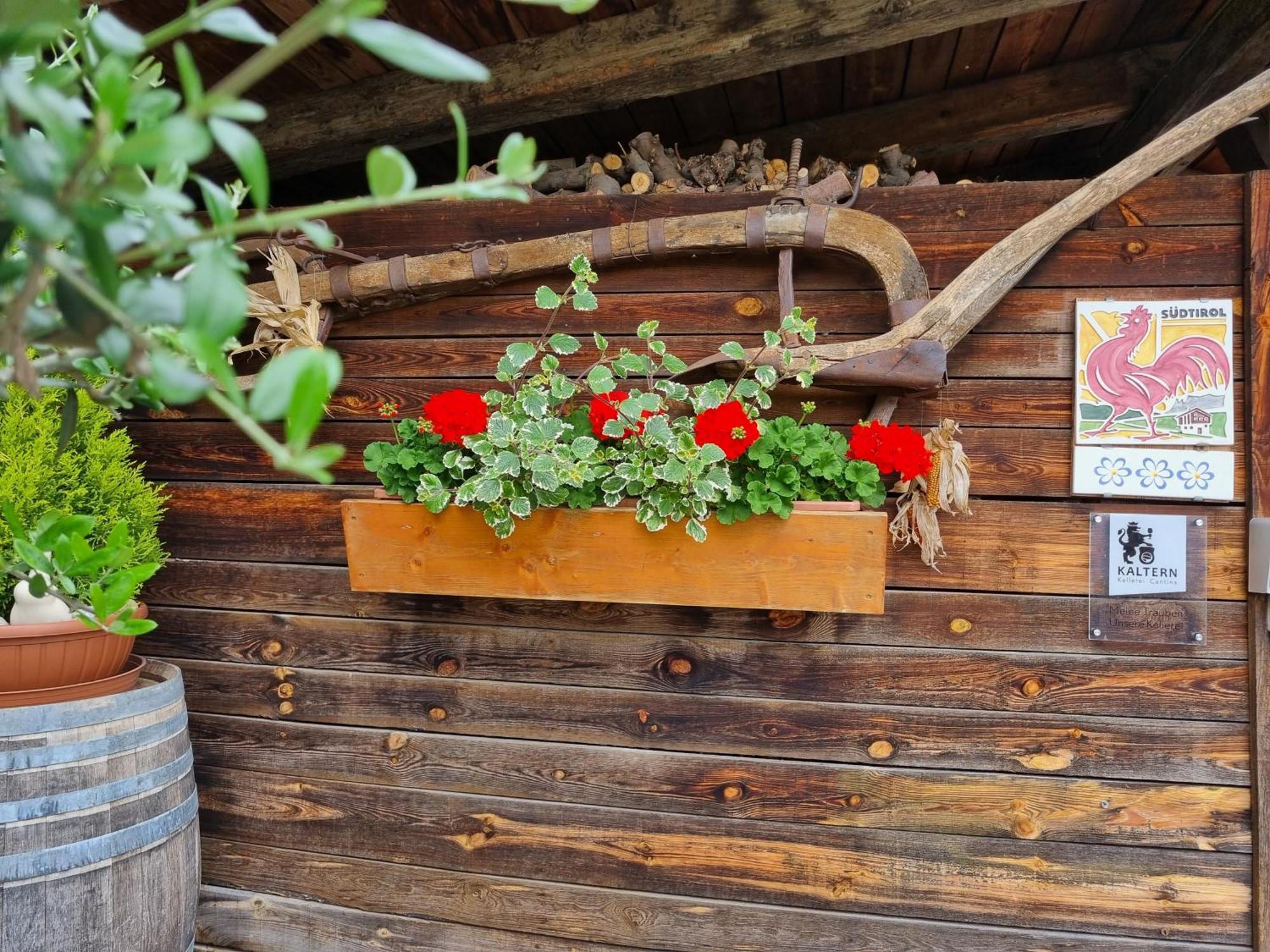 Urlaub Auf Dem Bauernhof Schmidhof - Grosse Terrasse, Pool Und Beste Lage Caldaro Esterno foto